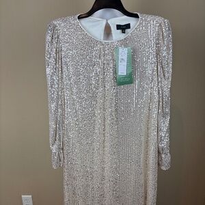 NWT Maia Ivory/Silver Long Sleeve Sequined Pull Over Lined Shift Midi Dress